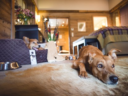 Hundehotel - Umgebungsschwerpunkt: See - Olympiaregion Seefeld - Hundeservice auf dem Zimmer - Alpin Resort Sacher