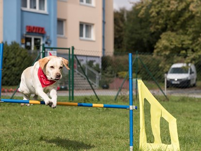 Hundehotel - Umgebungsschwerpunkt: Fluss - Güstrow - Familienhotel am Tierpark