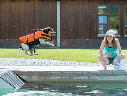 Hundehotel - Umgebungsschwerpunkt: Berg - Oberbayern - Hundeschwimmbad - Hundesporthotel Wolf