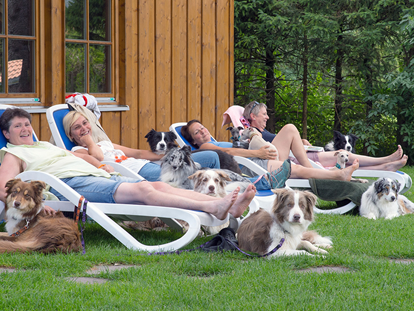 Hundehotel - Unterkunftsart: Appartement - Bayern - Entspannen im Garten mit dem Hund - Hundesporthotel Wolf