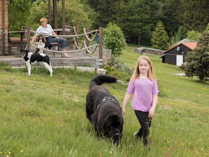 Hundehotel - Bayerischer Wald - Bei der Aussichts-Hütte - Hunderesort Waldeck