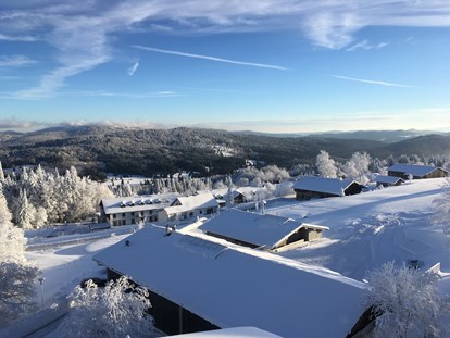 Hundehotel - WLAN - Bayern - Winter-Aussicht Richtung Norden - Hunderesort Waldeck