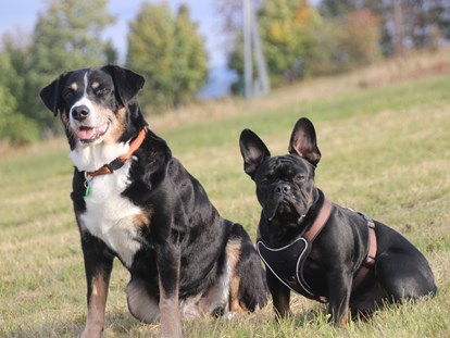 Hundehotel - Bayerischer Wald - Hunde sind bei uns herzlich willkommen!  - Landhotel Sportalm