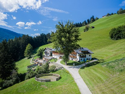 Hundehotel - Unterkunftsart: Appartement - Niederdorf (Trentino-Südtirol) - Haubenthal