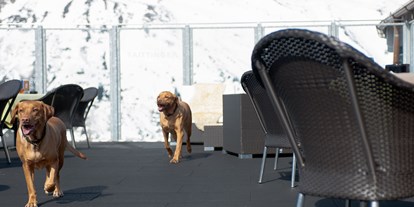 Hundehotel - Hund im Restaurant erlaubt - Gurgl - SKI | GOLF | WELLNESS Hotel Riml****S