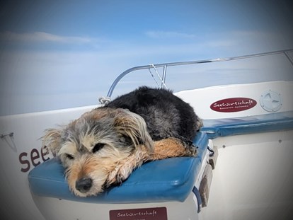 Hundehotel - Verpflegung: Frühstück - Plau am See - Hunde Model 2023 gesucht - gefunden!
1. Platz für Fussel - Fleesensee Resort & Spa