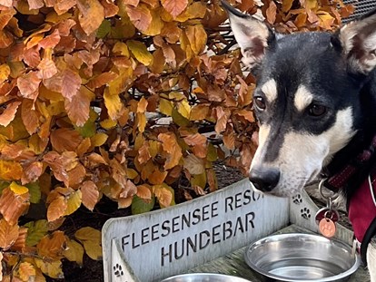 Hundehotel - Mecklenburgische Schweiz - Fleesensee Resort & Spa