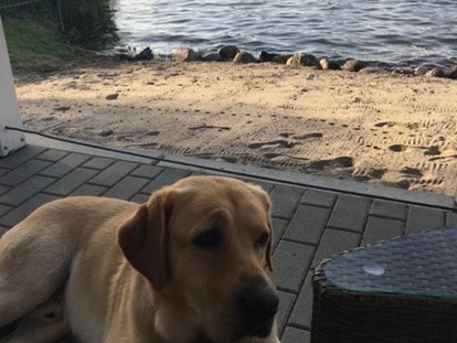 Hundehotel - Trink-/Fressnapf: an der Rezeption - Vorpommern - Fleesensee Resort & Spa