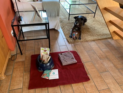 Hundehotel - Doggies: 5 Doggies - Groß Nemerow - Fleesensee Resort & Spa