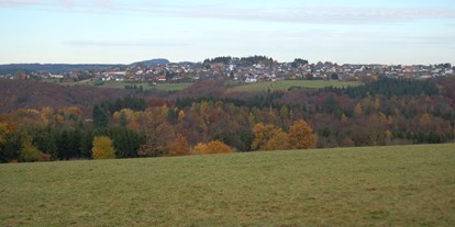 Hundehotel - Doggies: 2 Doggies - Rheinland-Pfalz - Wershofen von Süden - Landgasthaus Pfahl