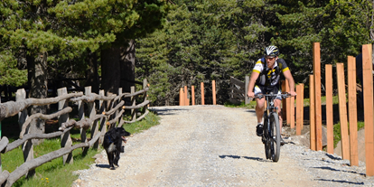 Hundehotel - Sauna - Eisacktal - Wandern oder Radfahren mit Hund - Sambergerhof