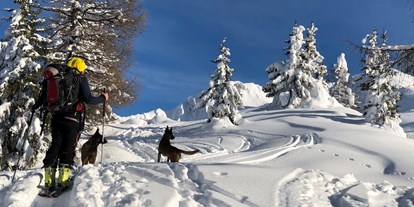 Hundehotel - Hund im Restaurant erlaubt - Gnadenwald - Skitour mit unseren beiden Hunden - Hotel Steinhauswirt