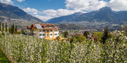 Hundehotel - Umgebungsschwerpunkt: Berg - Sulden - Blick auf das Hotel - Landhaus Hotel Kristall