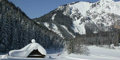 Hundehotel - Agility Parcours - Steiermark - Wintertraum in der Eisenerzer Ramsau - Erzberg Alpin Resort