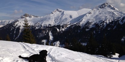 Hundehotel - Verpflegung: Frühstück - Mariazell - Hundespuren im Schnee - Erzberg Alpin Resort