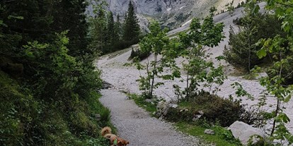 Hundehotel - Trink-/Fressnapf: im Zimmer - Gnadenwald - wandern in den Bergen - Haus Alpengruss