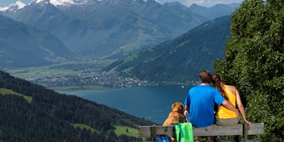 Hundehotel - Hundewiese: eingezäunt - Rauris - wunderschöne Wanderung mit Hund in Zell am See - Hotel Schloss Prielau