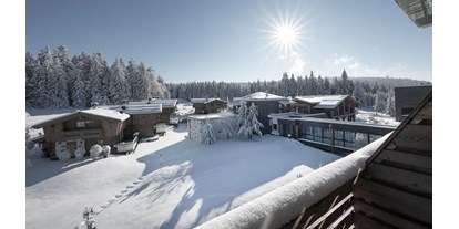 Hundehotel - Unterkunftsart: Hotel - Philippsreut - INNs HOLZ Natur- & Vitalhotel**** im Winter - INNs HOLZ Natur- & Vitalhotel****
