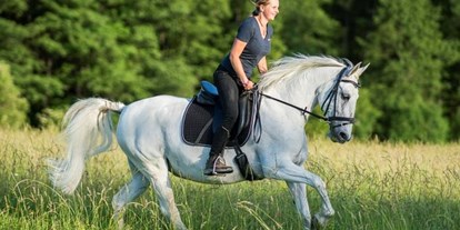 Hundehotel - Fehring - Reiters Lipizzaner - Reiters Finest Familyhotel 4* Superior All Inclusive