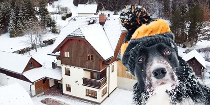 Hundehotel - Umgebungsschwerpunkt: am Land - Ausseerland - Salzkammergut - Haus Tauplitz