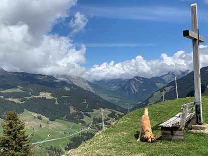 Hundehotel - Hund im Restaurant erlaubt - Alpenregion Bludenz - Natur.Genuss.Hotel - Sonnasita