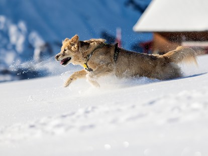 Hundehotel - Umgebungsschwerpunkt: Fluss - St. Anton am Arlberg - Natur.Genuss.Hotel - Sonnasita