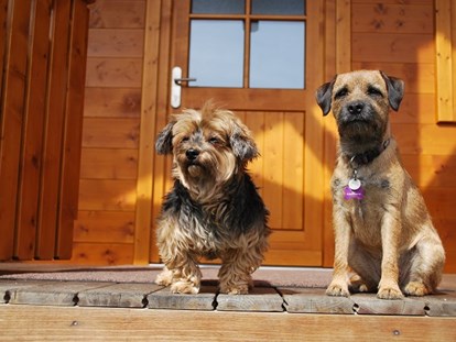 Hundehotel - Umgebungsschwerpunkt: See - Flachau - zufriedene Gäste - Feriendorf Oberreit
