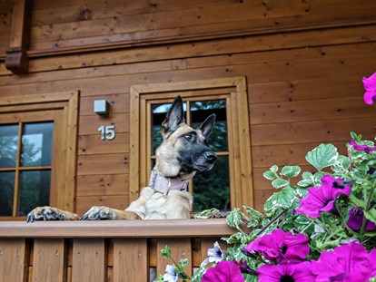 Hundehotel - Doggies: 5 Doggies - vor dem Haus - Feriendorf Oberreit