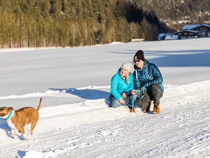 Hundehotel - Doggies: 5 Doggies - Alpenhotel Tyrol - 4* Adults Only Hotel am Achensee