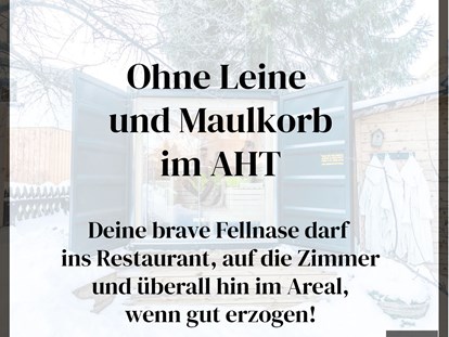 Hundehotel - Hund im Restaurant erlaubt - Ried im Zillertal - Alpenhotel Tyrol - 4* Adults Only Hotel am Achensee