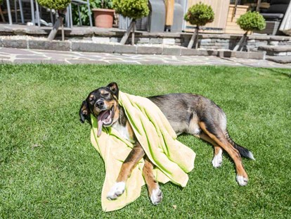 Hundehotel - keine Leinenpflicht im Hotel - Oberammergau - Alpenhotel Tyrol - 4* Adults Only Hotel am Achensee