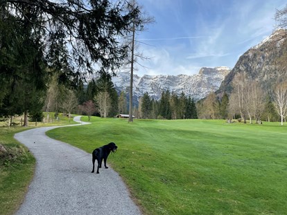 Hundehotel - Umgebungsschwerpunkt: Berg - Mayrhofen (Mayrhofen) - Malerische unmittelbare Umgebung  - Alpenhotel Tyrol - 4* Adults Only Hotel am Achensee