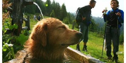 Hundehotel - Hundewiese: nicht eingezäunt - Donnersbachwald - Urlaub mit Hund am Kreischberg (Foto: Ikarus TVB Murau-Kreischberg) - Club Hotel am Kreischberg
