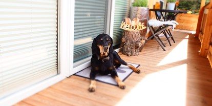 Hundehotel - Hundewiese: eingezäunt - Saltaus bei Meran - Sonnenanbeter - Haus am Wildbach