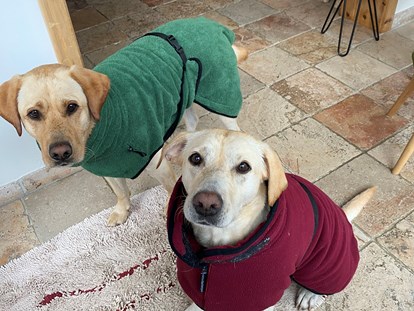 Hundehotel - Trink-/Fressnapf: vor dem Haus - Knappenberg - Bademäntel für Hunde vorhanden  - Naturforsthaus 