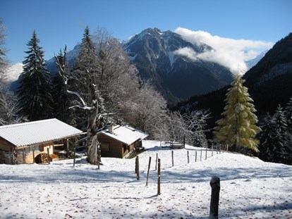 Hundehotel - Hundewiese: nicht eingezäunt - Schweiz - Winter in ländlicher Umgebung  - Chalet-Gafri BnB - traditionelle Frühstückspension 