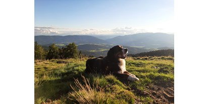 Hundehotel - Grundstück eingezäunt - wunderbar zum Wandern mit dem Hund im Herbst!! - Ferienhaus Harmonie