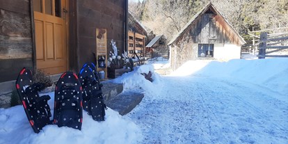 Hundehotel - Grundstück eingezäunt - wir verliehen an unsere Gäste auch gratis Schneeschuhe!! - Ferienhaus Harmonie