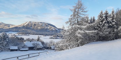 Hundehotel - Schwerpunkt: Skifahren / Winter - Ferienhaus Harmonie !!! Eingebettet in viel Natur!!! - Ferienhaus Harmonie