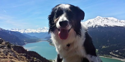 Hundehotel - Hundewiese: nicht eingezäunt - Südtirol - Coudy auf Wanderschaft - Hotel Reschnerhof