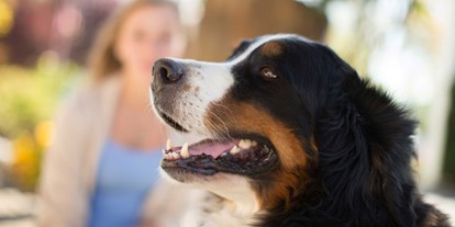Hundehotel - Hund im Restaurant erlaubt - Fehring - "Pfotenwohl" im Garten-Hotel Ochensberger - Garten-Hotel Ochensberger
