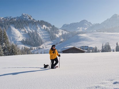 Hundehotel - Kinderbetreuung - Scheffau am Wilden Kaiser - Schneeschuhwandern mit Hund - Familien und Vitalhotel Mühlpointhof ***S
