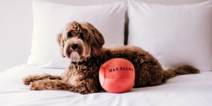 Hundehotel - keine Leinenpflicht im Hotel - Nordrhein-Westfalen - Max Brown Hotel Midtown