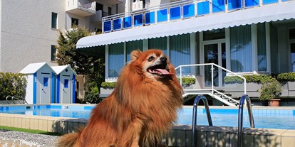 Hundehotel - WLAN - Venedig - Pet-Friendly? Eine echte Philosophie!

In unserem Hotel direkt am Meer sind Haustiere immer gerne ohne weiteren Zuschlag willkommen. - Hotel Croce di Malta