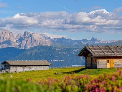 Hundehotel - Ladestation Elektroauto - St. Martin (Trentino-Südtirol) - Hoteleigene Alm - Sonnenhotel Adler Nature Spa Adults only