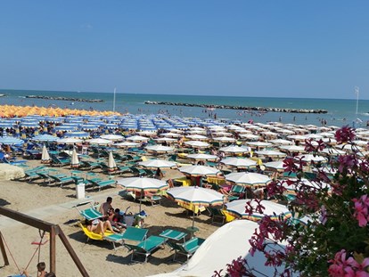 Hundehotel - Umgebungsschwerpunkt: Meer - Rimini - Hotel Imperiale