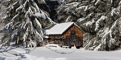 Hundehotel - Österreich - Ein Wintermärchen - Ferienparadies Wiesenbauer
