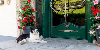 Hundehotel - Hund im Restaurant erlaubt - Hüttschlag - Unsere Hütehündin Spezi - Ganzenhubhof