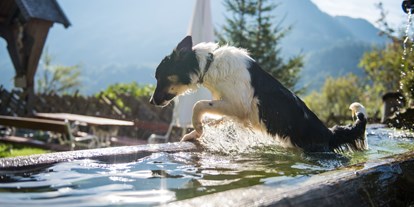 Hundehotel - Hund im Restaurant erlaubt - Großarl - Ganzenhubhof