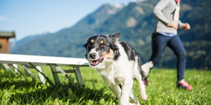 Hundehotel - Hundewiese: nicht eingezäunt - Saalbach - Ganzenhubhof